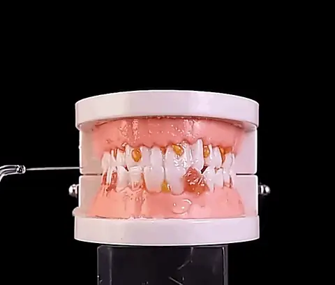 OralWave creative 2